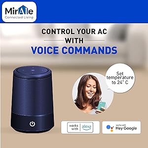 work with Alexa and Google, Voice control