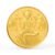 Sambram 24k (999) Goddess Lakshmi 2 gram Yellow Gold Coin – Offer World