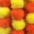 ABHAAS Pack of 10 Artificial Marigold Garland toran for Decoration Long Garlands Toran Indian genda phool for Wedding & Festival Diwali/4.5-4.9 FT /10 Strings/Yellow+Orange Mix – Offer World