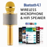 ROOQ WS858 Karaoke Gold Wireless Microphone