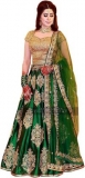PMD Fashion  Embroidered Semi Stitched Lehenga Choli
